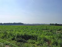 Ferme du Moulin - Wagnel�e