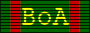 Birth of America Campaign Medal