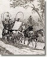 Cart