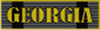 Army of Georgia (AoG) Veteran