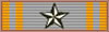 Ten Years CSA Service Ribbon