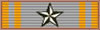 Ten Years CSA Service Ribbon