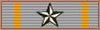 Five Years CSA Service Ribbon