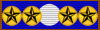5th Patrick Cleburne Medal of Service