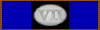 7th Samuel Cooper Medal of Service