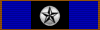 2nd Samuel Cooper Medal of Service