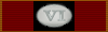 6th A. P. Hill Medal of Service