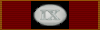 9th A. P. Hill Medal of Service