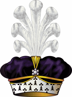 Duc Duc