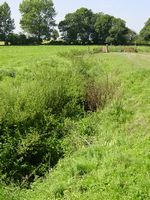Ligne Brook