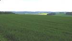 Looking southeast from Klosterberg