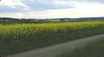 Looking northeast from Klosterberg